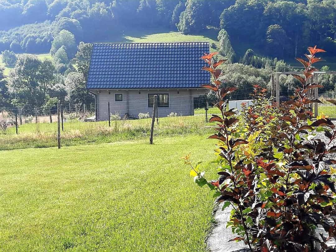 Domek Pod Ostoja Gory Sowie Lomnica  外观 照片